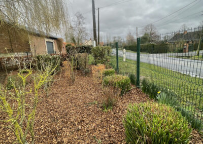 Massif en bordure de jardin